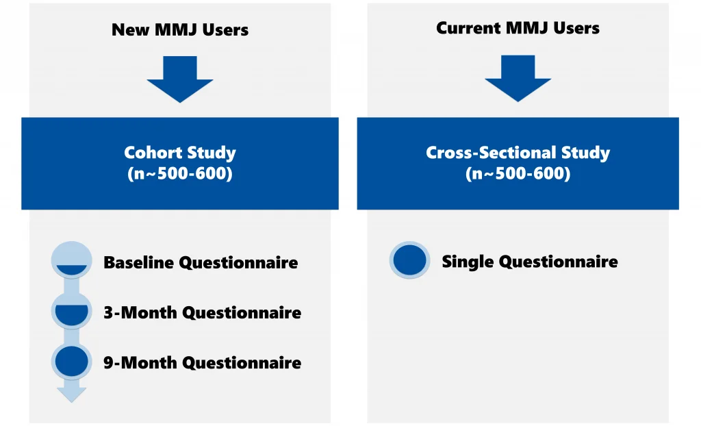 Infographic showing MMJ study design with two columns. Left column titled 'New MMJ Users' shows a Cohort Study (n~500-600) with three questionnaires: Baseline, 3-Month, and 9-Month Questionnaires, connected by vertical timeline icons. Right column titled 'Current MMJ Users' shows a Cross-Sectional Study (n~500-600) with a Single Questionnaire.