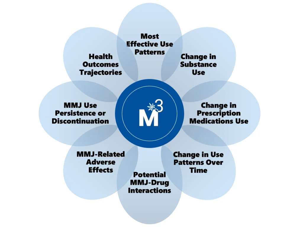 Flower-shaped diagram with 'M³' in center blue circle surrounded by eight overlapping petals listing MMJ study domains: Health Outcomes, Use Patterns, Substance Use Change, Medication Change, Use Patterns Over Time, Drug Interactions, Adverse Effects, and Use Persistence/Discontinuation.