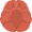 A brain