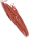 A muscle