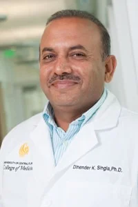Dinender K. Singla, PhD (Vice Chair)